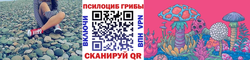 купить   Безенчук  Галлюциногенные грибы GOLDEN TEACHER 